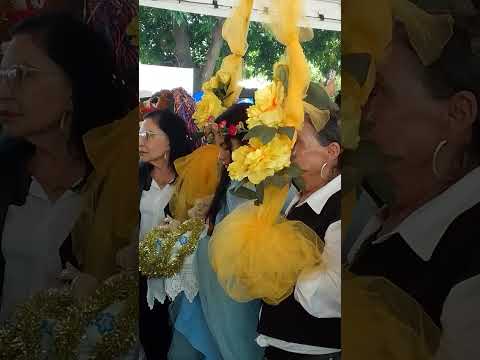 FOLIÕES DE PONTALINA-GOIÁS 