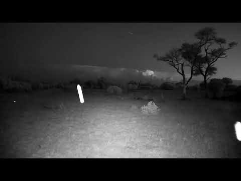 Djuma: Lightning in the clouds in the distance - 18:50 - 11/05/2022