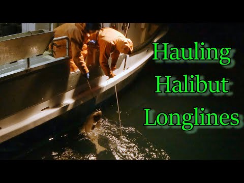Night Haul - Halibut Longlining | Fishing in the Gulf of Alaska