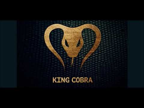 Yves V vs Don Diablo - King Cobra (Tomorrowland Ed)