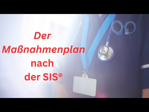 Der Maßnahmenplan der SIS - Tutorial -
