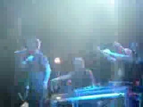 Stereosonic 2007 - The Potbelleez