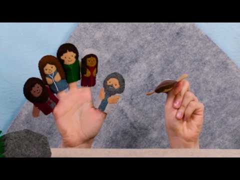 Witness21 Editor  2017 02 23