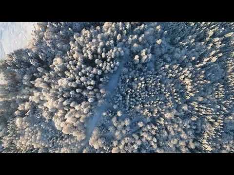 Cinematic FPV - Vers-chez-les-Blanc - Lausanne - Switzerland