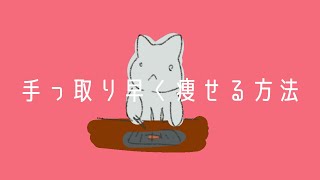 手っ取り早く痩せる方法／音街ウナ