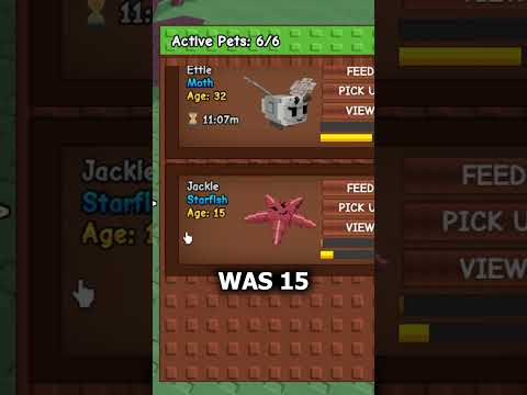 How to grow your pets fast in Grow a Garden.. #roblox #growagarden