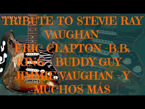 STEVIE RAY VAUGHAN TRIBUTE FULL DVD - CLAPTON - B.B.KING - JIMMIE VAUGHAN AND MORE