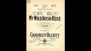 My Wild Irish Rose (1899)