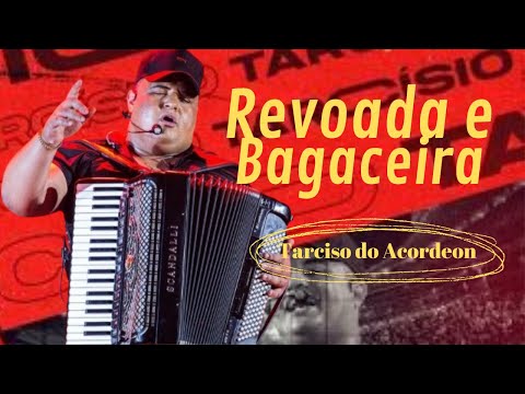 Tarciso Do Acordeon - REVOADA E BAGACEIRA / REVOADA E BAGACEIRA - Tarciso Do Acordeon / As Melhores