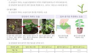 [초등과학 4-1 무료강의] 3. 식물의 한살이 ⑥ 잎과 줄기는 자라면서 어떻게 변할까요?