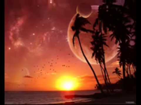 Junkie XL - Beauty Never Fades (Gms & Pixel & Domestic RMX)