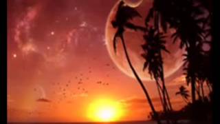 Junkie XL - Beauty Never Fades (Gms & Pixel & Domestic RMX)