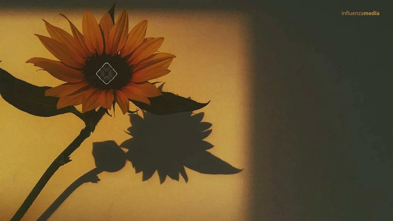 The Lights - Until Autumn