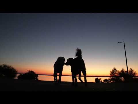 The Worlds Most Beautiful Morning