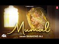 Mumal - Shahzad Ali, Feat. Kratika Rajawat | New Rajasthani Video Song 2024 | T-Series Rajasthani