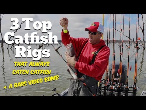The 3 Top Catfish Rigs (That Always Catch Catfish)