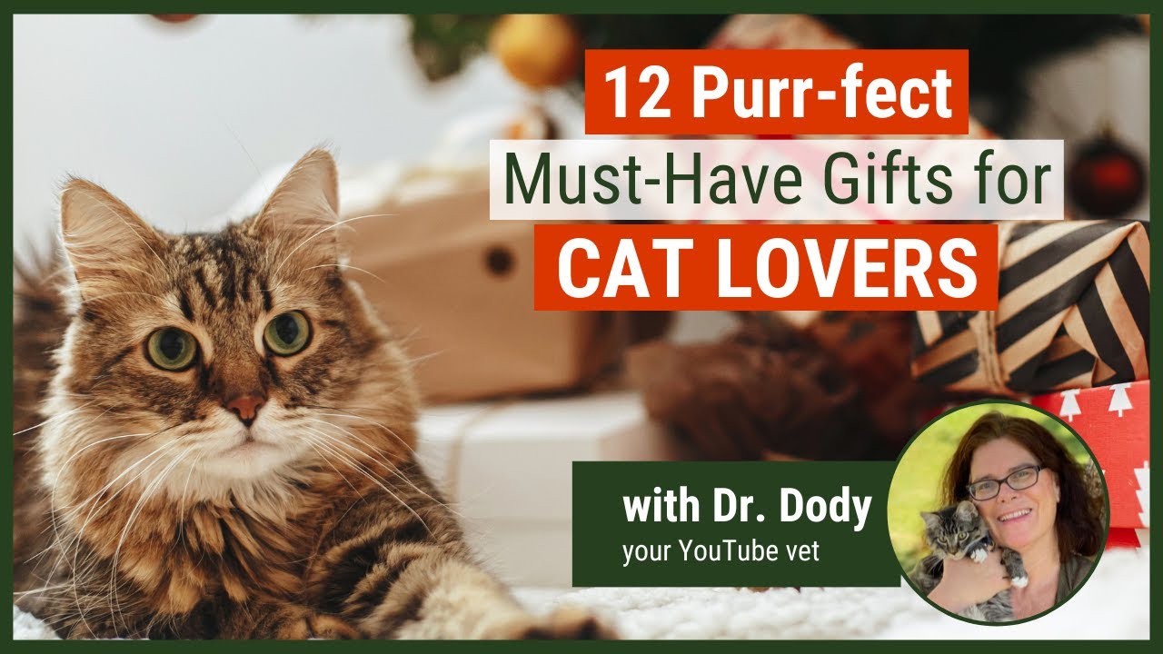 12 Best Gift Ideas for Cat Lovers