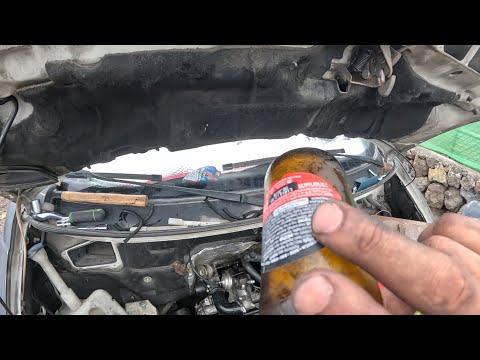 muffx.raw.pov.y0t14.mp4