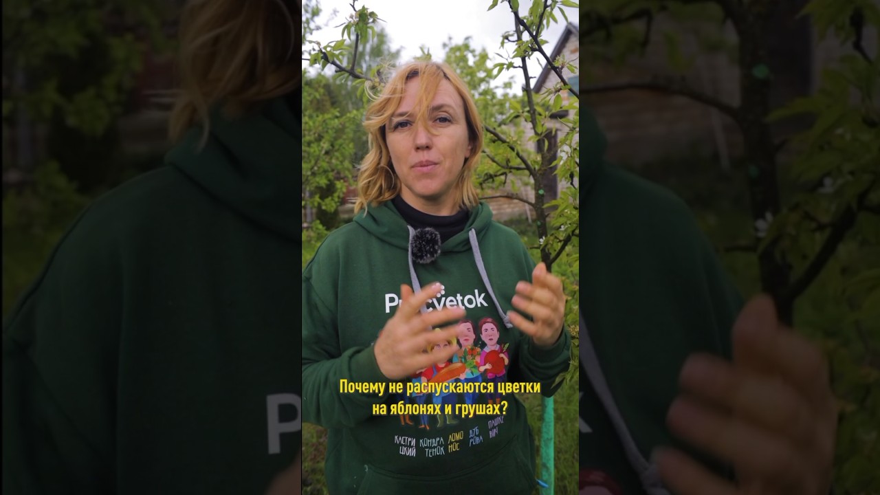 Опасный вредитель лишает вас урожая, если появились эти симптомы! Чем обработать яблони и груши