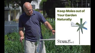 Pest Control: How to Keep Moles out of Your Garden Naturally