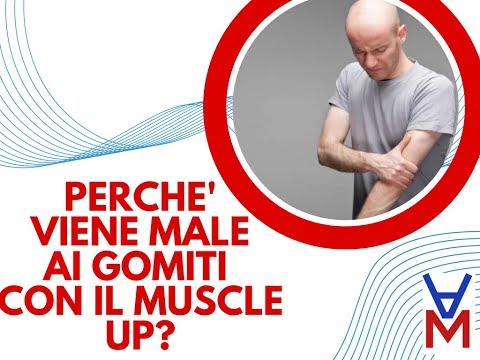 Tisana dai giunti in farmacia Distorsione al ginocchio nei cani