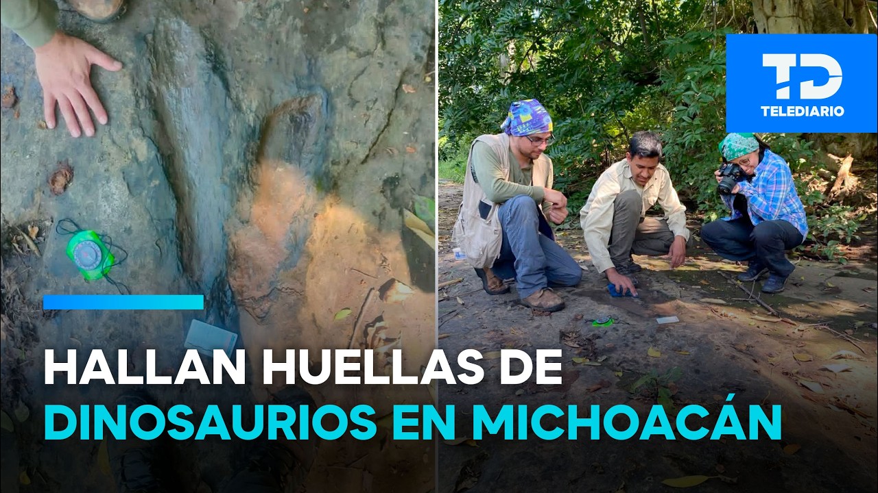 ¡Increíble hallazgo! Descubren más de 50 huellas de dinosaurios en Michoacán