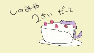 しのみやのおたんじょうびみたいですよ