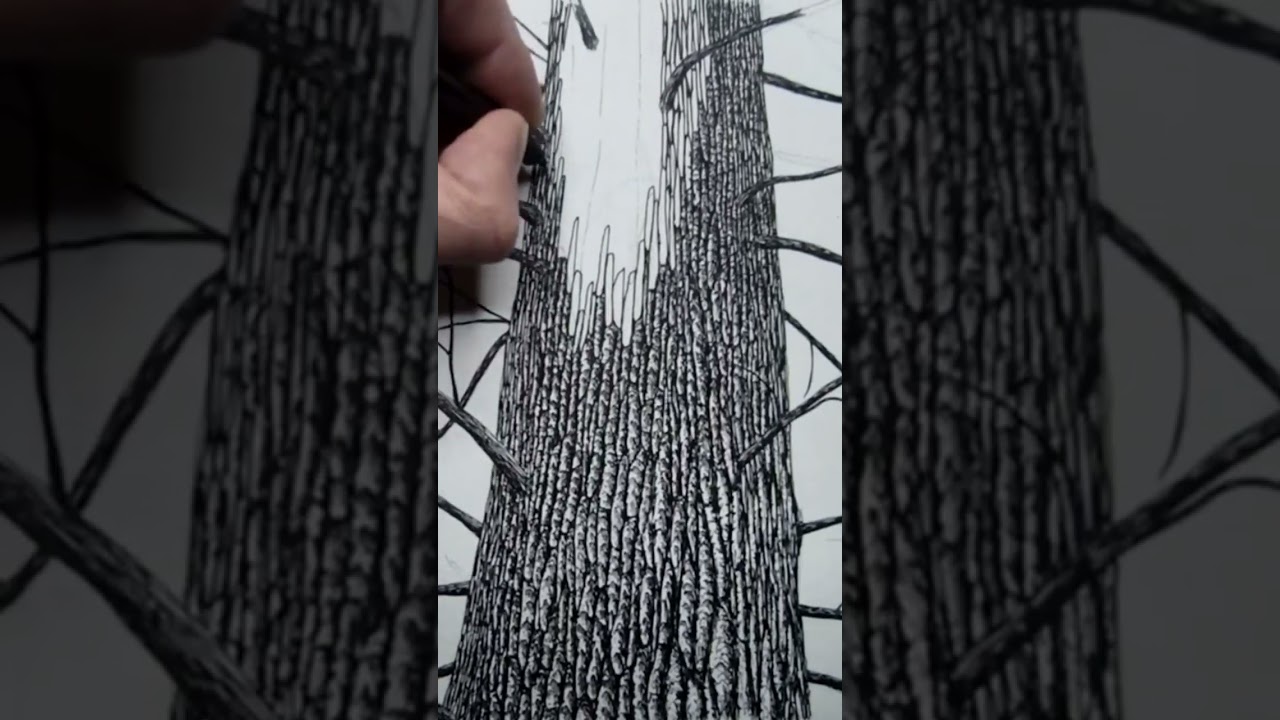Drawing Tree Bark with a Rotring Technical Ink Pen on Watercolor Paper
