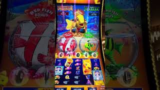 Curious Goldfish Slot Game Paid Me