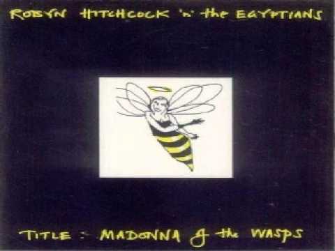 Robyn Hitchcock & The Egyptians - The Ruling Class