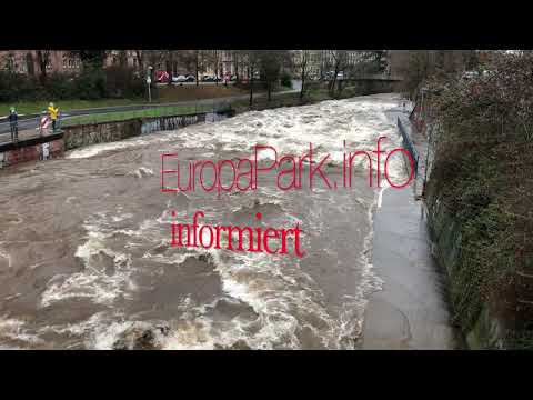 😎😎😎 Hochwasser Freiburg Dreisam reißender Fluss 03.02.2021 Martin On Tour Lock Down Schneeschmelze
