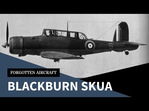 The Blackburn Skua; Fighting Dive-Bomber or Dive-Bombing Fighter?