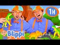 Can Blippi Name All The Dinosaurs BEST OF BLIPPI TOYS Educational Videos For Kids
