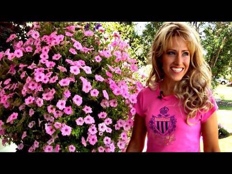 Stuffed Strawberries Recipe