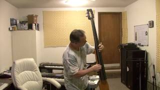 Video thumbnail for Stagg EDB 3/4 Electric Upright Bass Demo/Review by Brian Buckalew