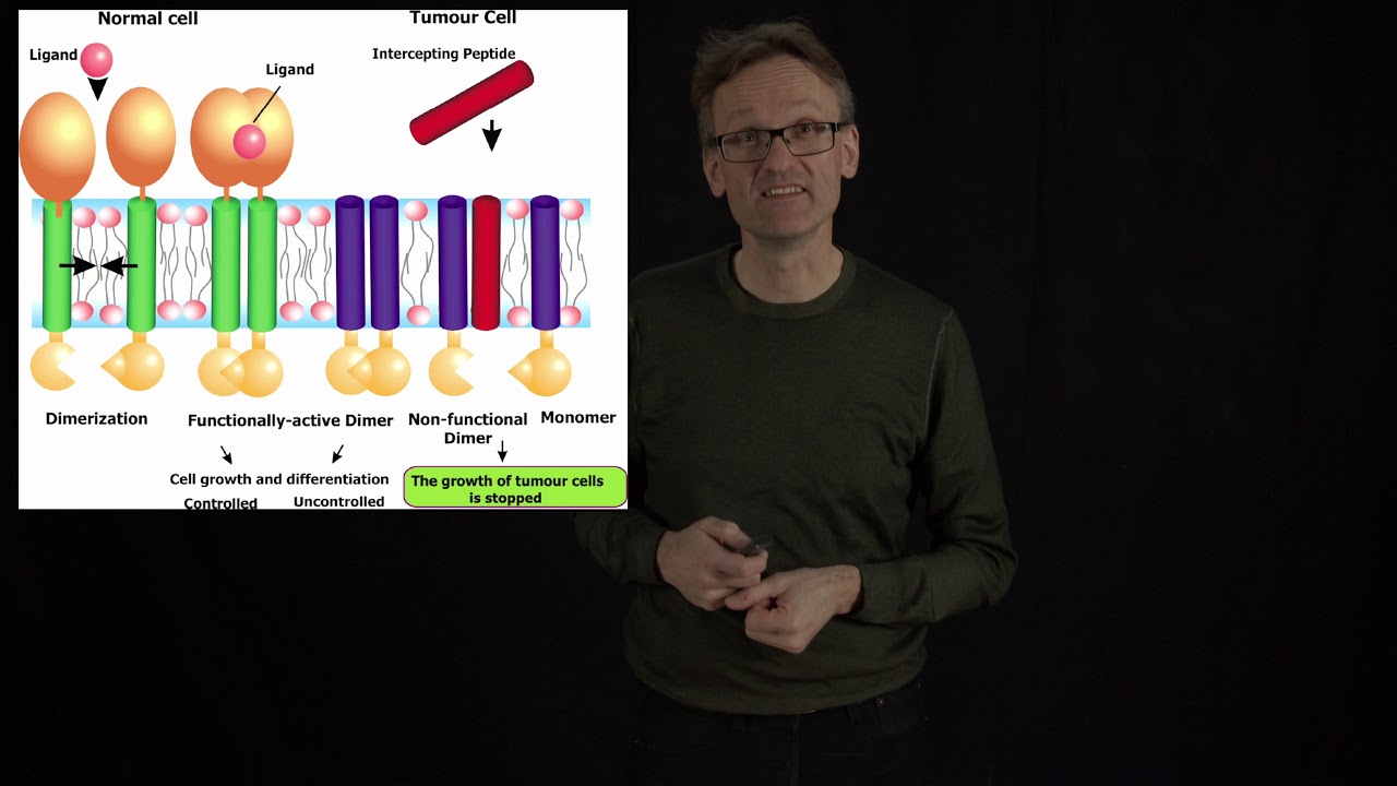 Lecture 13, concept 03: Designing a helix to selectively bind a membrane protein
