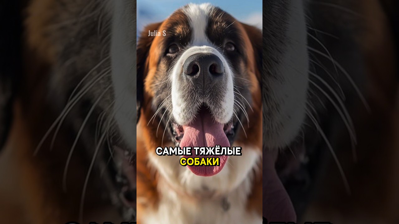 Интересные Факты О Животных