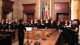 preview picture of video 'Coro polifonico Sarroch_Va, pensiero.WMV'