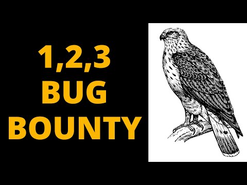 Your first Steps in Bug Bounty Hunting - The Fast Way