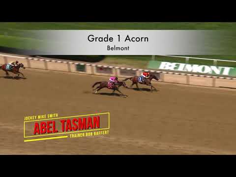 2018 Ogden Phipps Contender - Abel Tasman