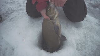 Ловля леща зимой на макароны