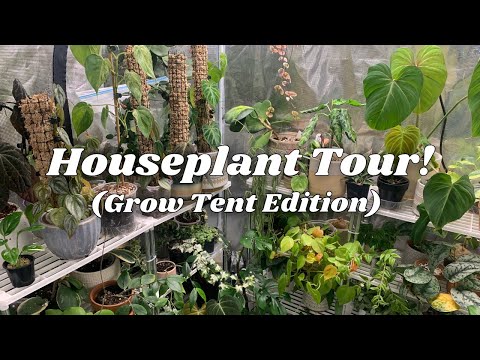 Grow Tent Houseplant Tour! 🌿 | ft. Grow Tent Set Up + Lessons Learned