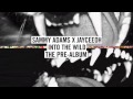Sam Adams - Big Lights (Into the Wild) 
