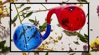 The Dirty Projectors "Lamp Lit Prose" Album Review