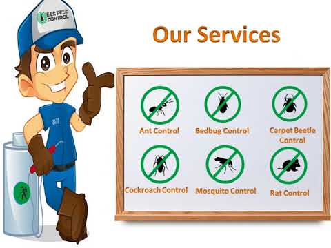 download lagu mp3 mp4 Pest Control Delhi Ncr, download lagu Pest Control Delhi Ncr gratis, unduh video klip Pest Control Delhi Ncr