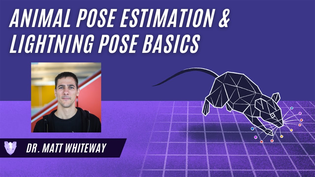 Animal Pose Estimation & Lightning Pose Basics (Dr. Matt Whiteway)