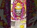 Amritdhara Devotionalsongs Mahakal Mahadev Youtubeshorts Trendingshorts Ytshorts
