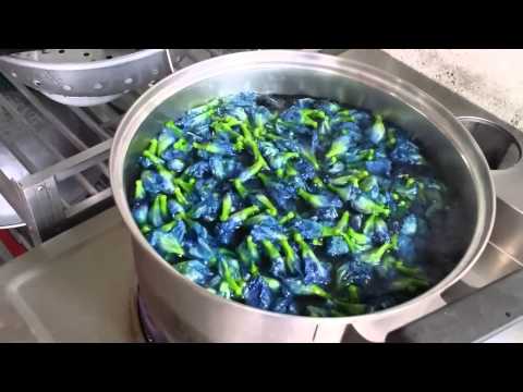 โรคสะเก็ดเงินและโรคภูมิแพ้ที่ทำ การเตรียมน้ำมันสำหรับโรคสะเก็ดเงิน