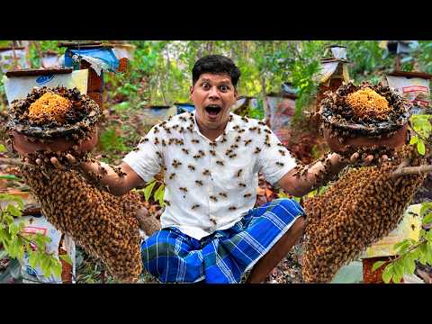 The Full Process of Harvesting Pure natural Honey | തേനീച്ച ഇത്രയ്ക്ക് പാവമായിരുന്നോ?