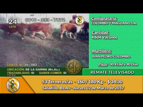02-03-17 - Ventas Remate Televisado Colombo y Magliano - Saladillo
